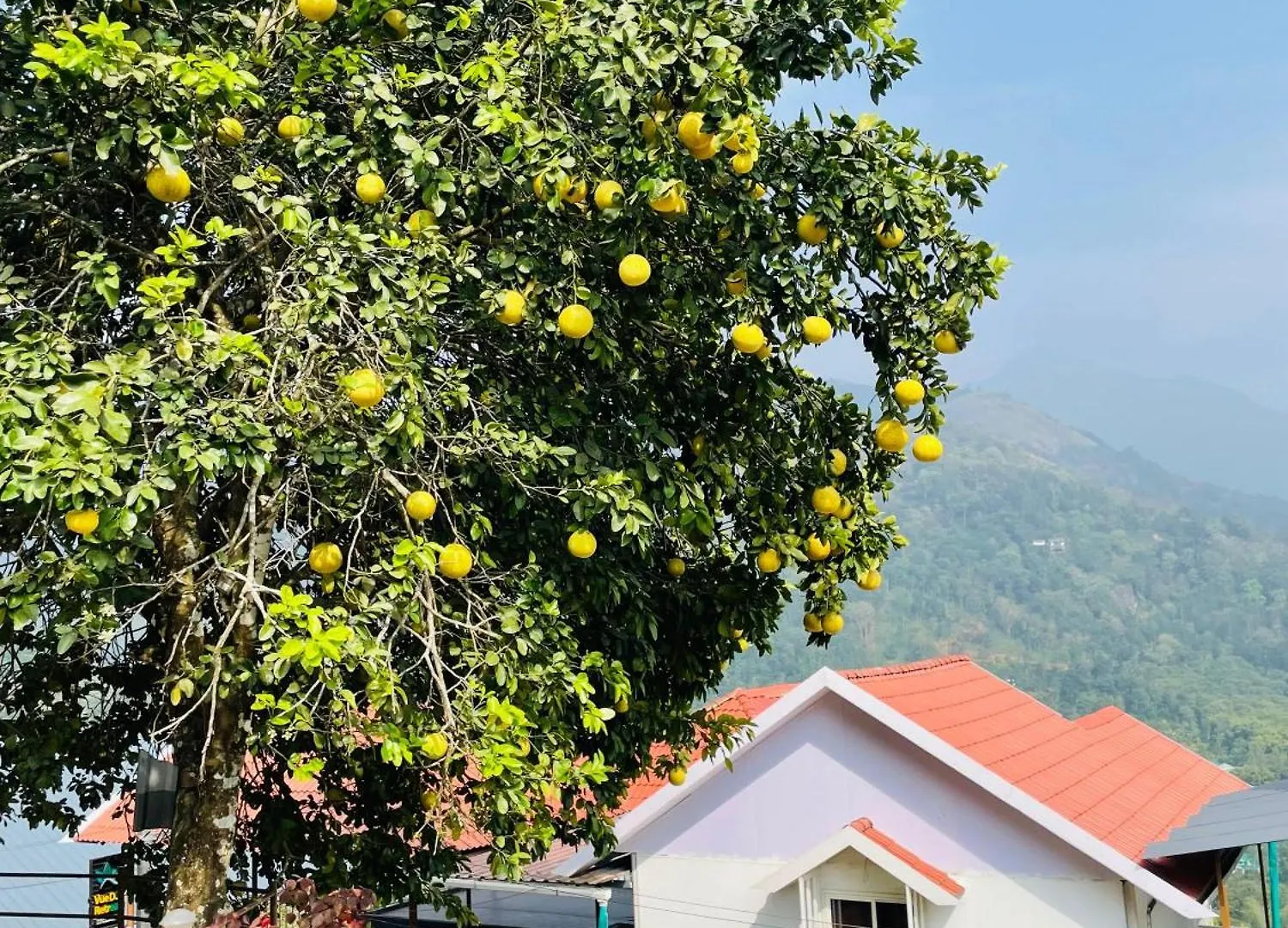 Vue Dale Retreats Munnar Hotel Resort